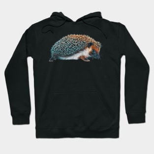 Hedgehog - Woodland Themed Kids Room, Funny Gifts For Forester, Cute Anima Hoodie